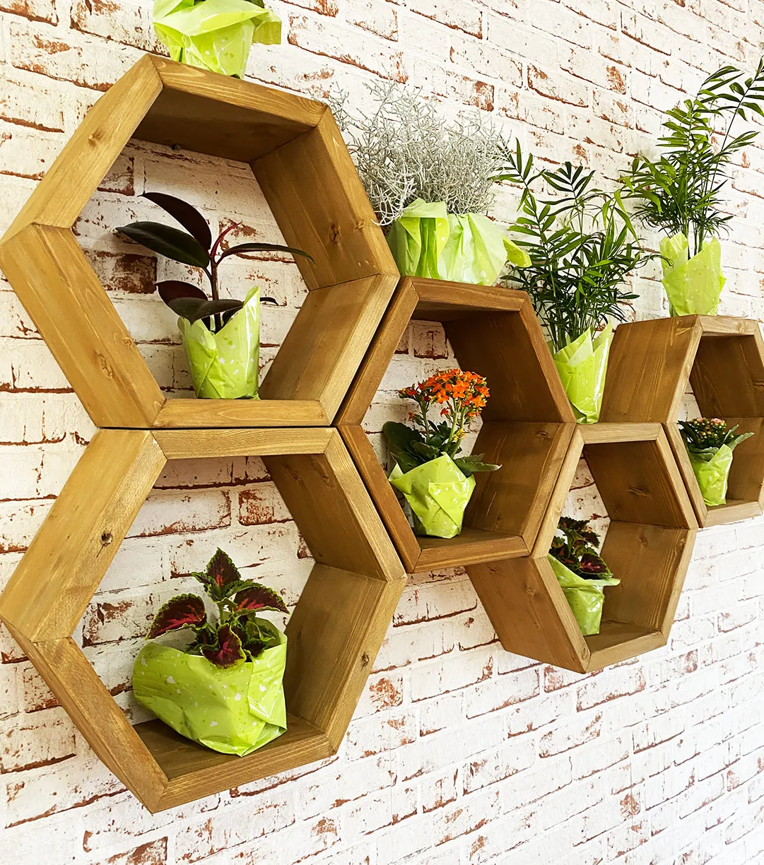 XLAB Design Bee scaffale esagonale legno parete 5 pezzi