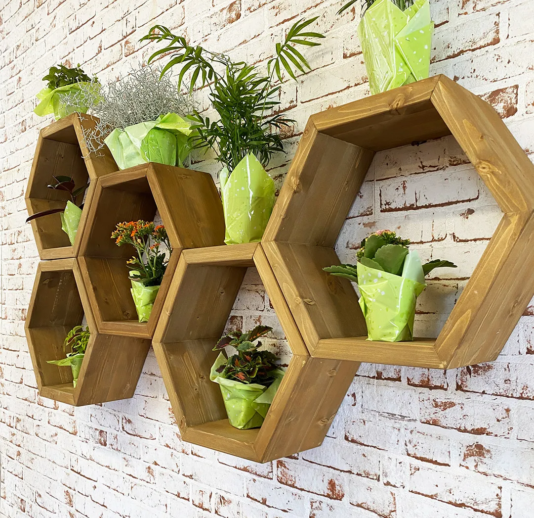 XLAB Design Bee scaffale esagonale legno parete 5 pezzi