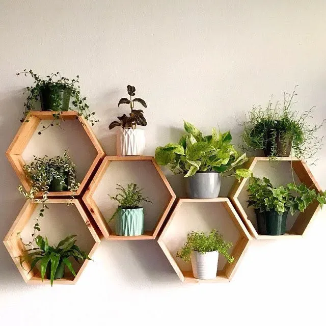 XLAB Design Bee scaffale esagonale legno parete 5 pezzi