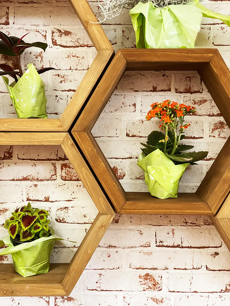 XLAB Design Bee scaffale esagonale legno parete 5 pezzi