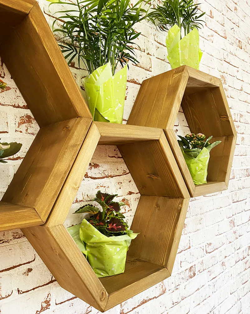 XLAB Design Bee scaffale esagonale legno parete 5 pezzi