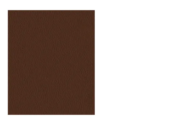 Morica Design Campione pelle Cognac prova colore