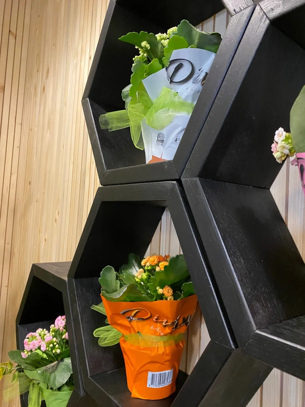XLAB Design Bee mensola esagonale black legno 5 pezzi