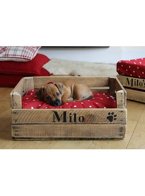 XLAB Design Milo lettino cani legno riuso vintage