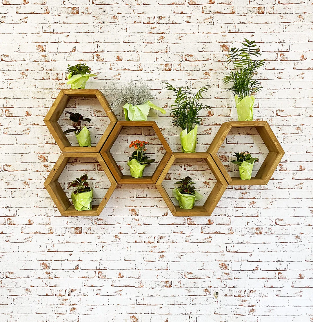 XLAB Design Bee scaffale esagonale legno parete 5 pezzi