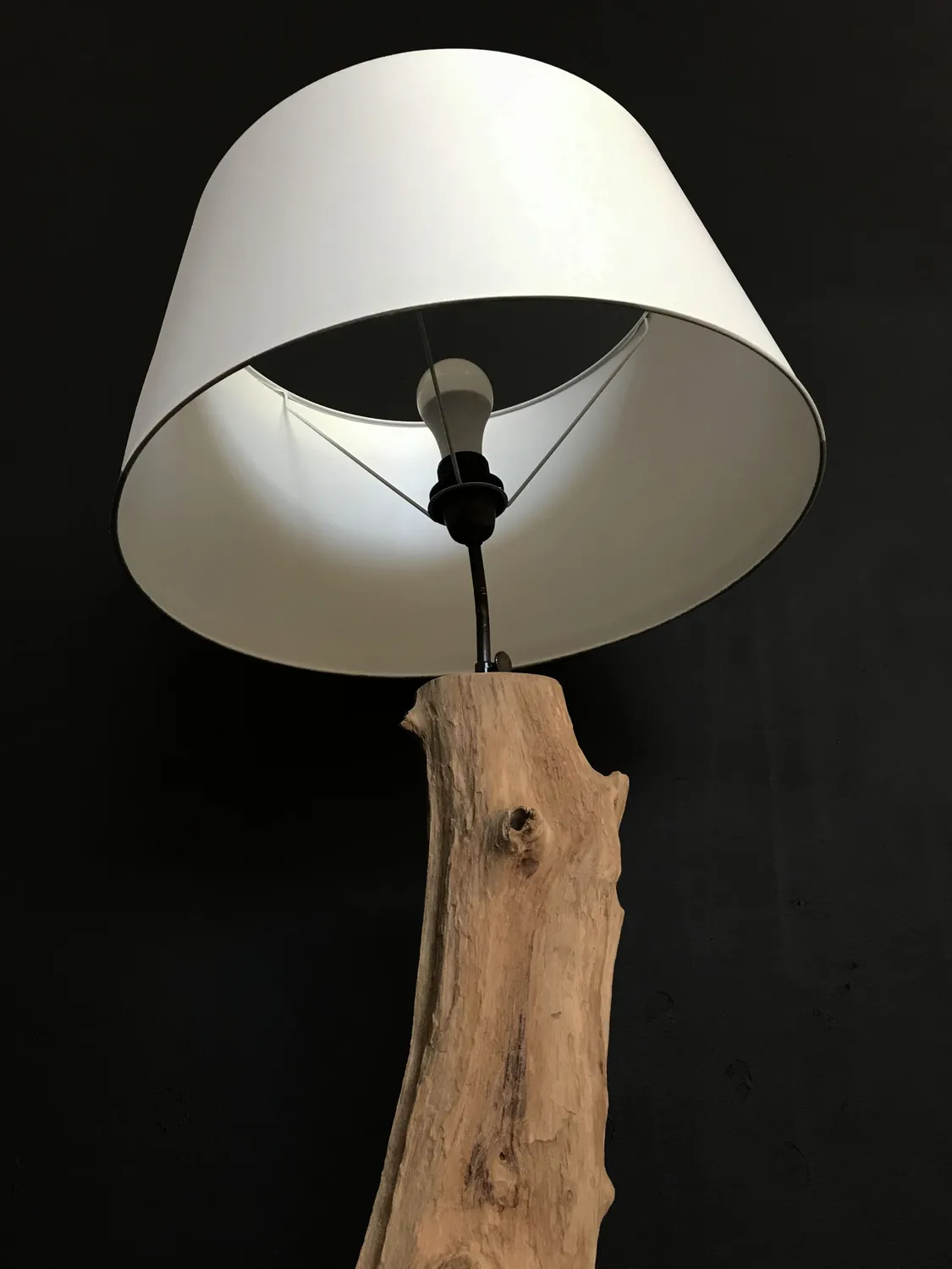 XLAB Design Ventotene lampada da terra tronco marino paralume
