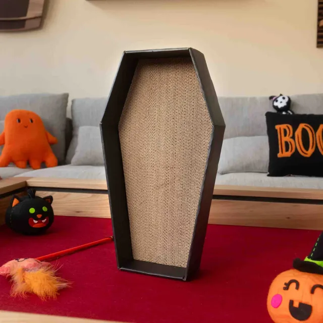Wyrmwood Cat Coffin tiragraffi bara cartone 3 ricambi