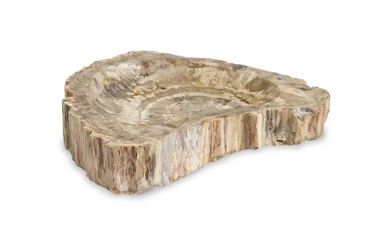 Maitland Smith Large Brown Petrified ciotola legno pietrificato 40 cm