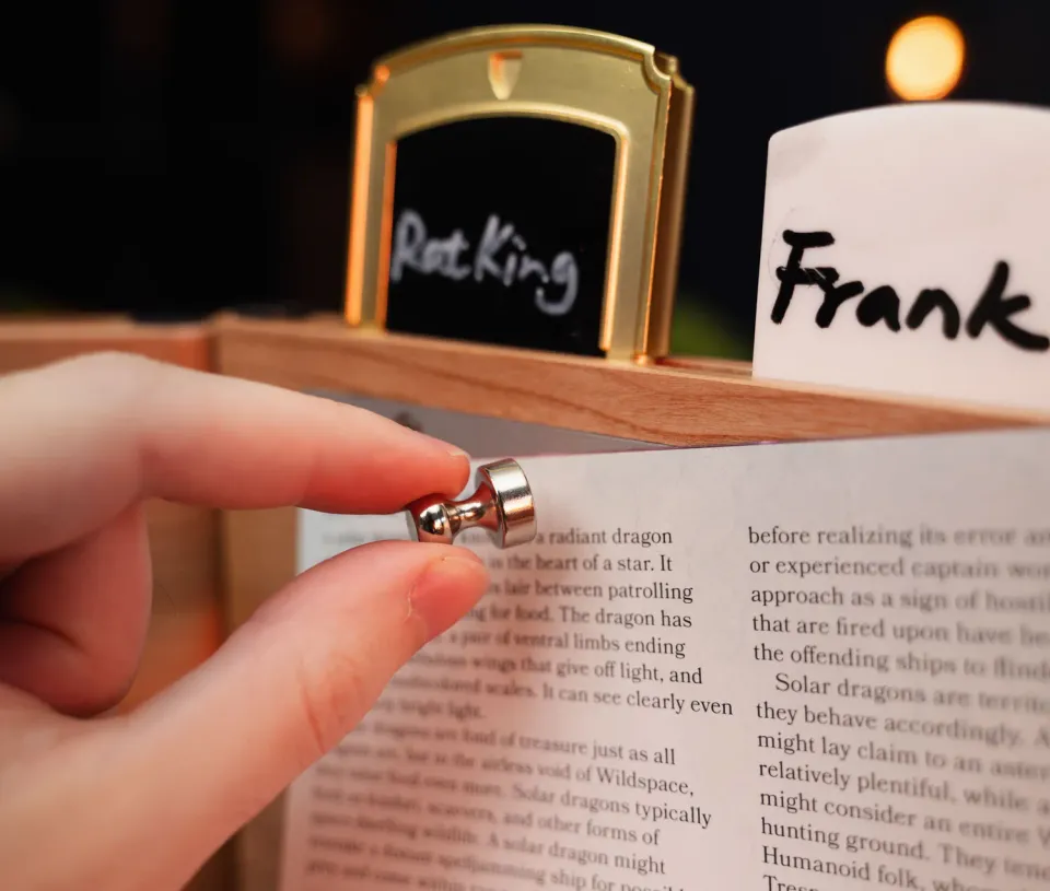 Wyrmwood DM Screen Magnetic Pin tavolo gioco set 12 pezzi