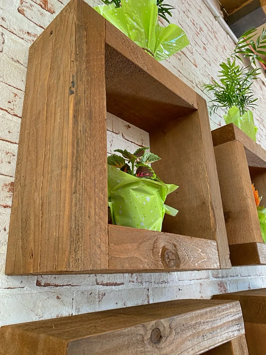 XLAB Design cubi legno parete 4 pezzi con piante
