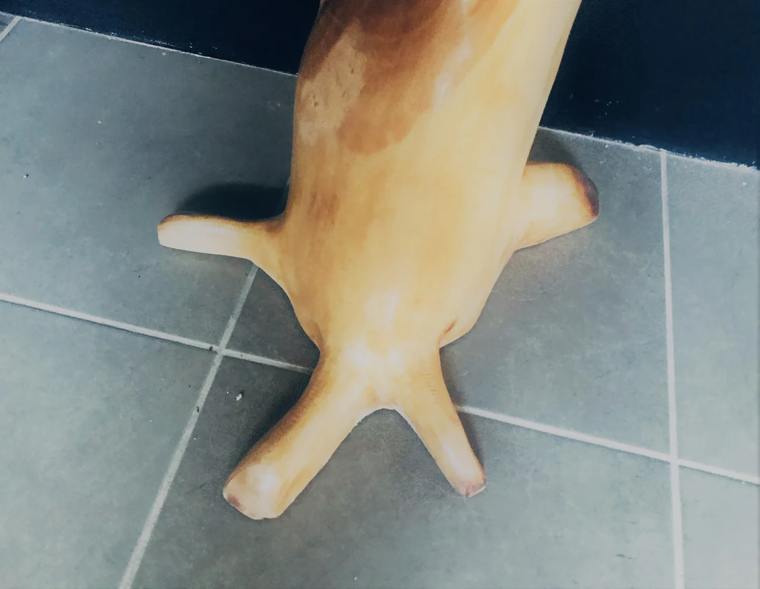 XLAB Design Arbol appendiabiti da terra legno teak