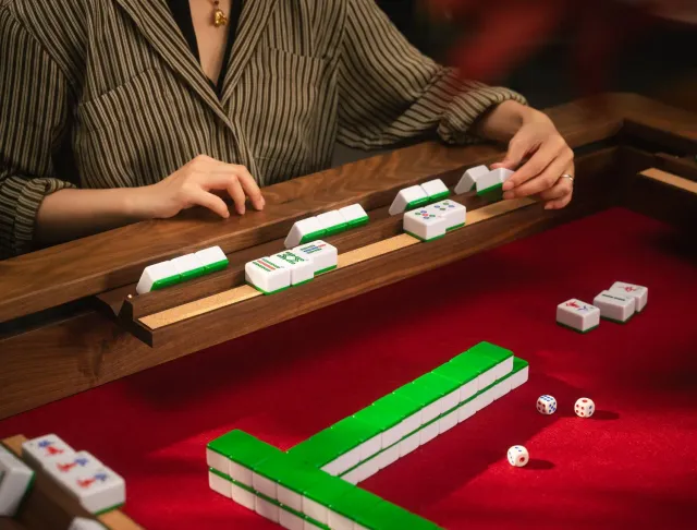 Wyrmwood Modular Magnetic Mahjong Tile Holder rastrelliera magnetica