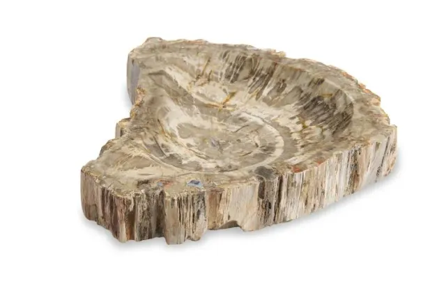 Maitland Smith Large Brown Petrified ciotola legno pietrificato 40 cm